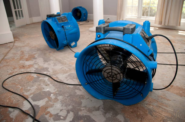 Best Flooded house restoration  in Lineville, AL