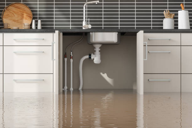 Best Water damage restoration experts  in Lineville, AL
